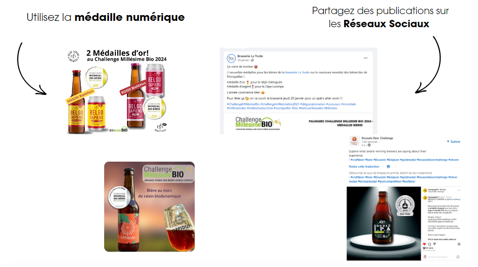 Capture d’écran 2024 10 03 144724 Capture d’écran 2024 10 03 144724